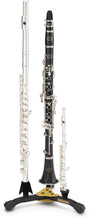 Load image into Gallery viewer, Hercules Flute, Clarinet, and Piccolo Stand, DS543BB